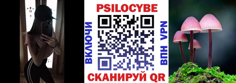 Галлюциногенные грибы Psilocybine cubensis  Аксай 